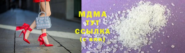 индика Богородицк